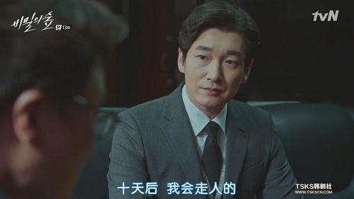 秘密森林13在线观看,暗影中的真相揭晓  第3张