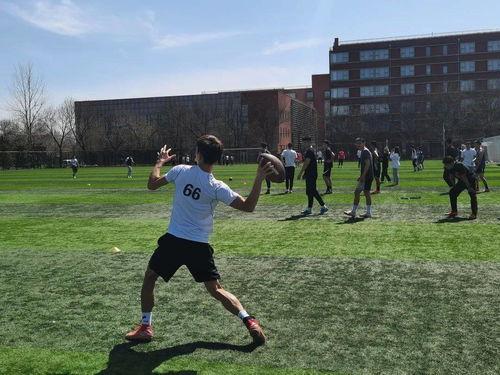 橄榄球协会爆料视频,揭秘橄榄球运动背后的精彩瞬间 第2张 橄榄球协会爆料视频,揭秘橄榄球运动背后的精彩瞬间 第2张