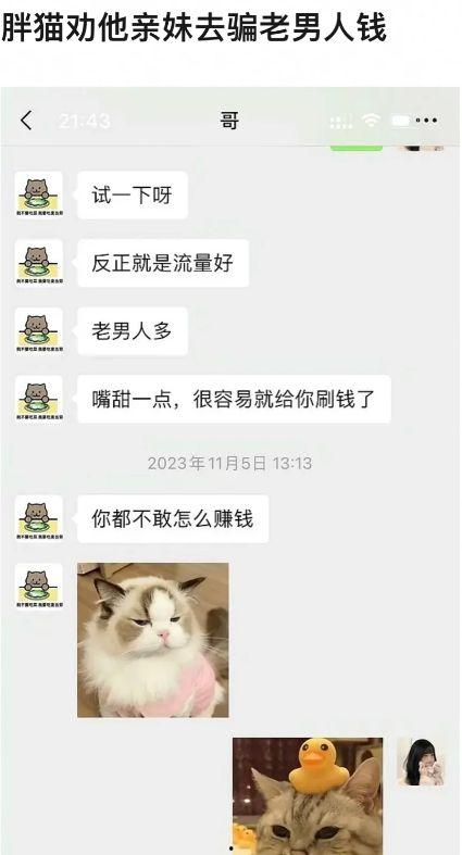 胖猫爆料直播回放视频,回放视频中的精彩瞬间与幕后故事 第3张 胖猫爆料直播回放视频,回放视频中的精彩瞬间与幕后故事 第3张