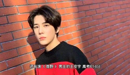 王安宇高中爆料视频,揭秘校园生活幕后真相